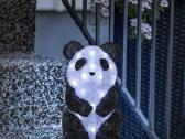 Akrilinė LED panda - nuotraukos Nr. 5