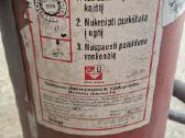 Gesintuvas angliarūšties - nuotraukos Nr. 2