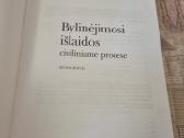 Bylinėjimosi išlaidos civiliniame procese - nuotraukos Nr. 2