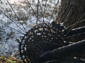 Specialized Stumpjumper Alloy 2023 - nuotraukos Nr. 4