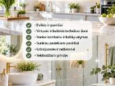 Periodinis butų, namų, ofisų valymas - nuotraukos Nr. 5