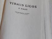 Vidaus ligos - nuotraukos Nr. 7