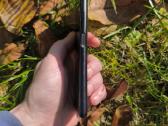 Sony Xperia L4 daužtas, displayus rodo gyvybę - nuotraukos Nr. 5