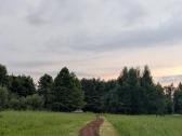 Tranšėjos kasimas - nuotraukos Nr. 6