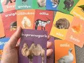 Gyvunu korteles mokinimui vaikams - nuotraukos Nr. 2
