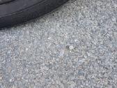 Padangos Yokohama 225/55 r18 - nuotraukos Nr. 3