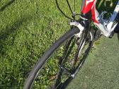 Plentinis dviratis Pinarello - nuotraukos Nr. 8