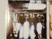 Nine Days - The Madding Crowd (CD albumas) - nuotraukos Nr. 2