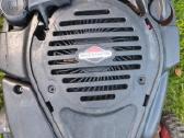 Ziliapjove klippo briggs stratton savaeige - nuotraukos Nr. 2