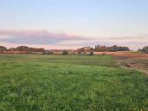 Parduodami 3,06 ha ir 0.81ha žemės ūkio paskirties - nuotraukos Nr. 3