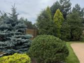 Namas Tauralaukyje - nuotraukos Nr. 2