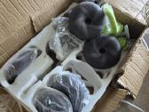Minkštų hantelių ir štangos komplektas – 20 kg - nuotraukos Nr. 4