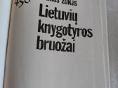 Lietuvių knygotyros bruožai - nuotraukos Nr. 2