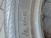 Dvi geros visasezoninės 215/55 R17 Good Year - nuotraukos Nr. 8