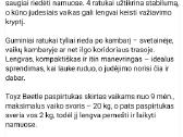 Vaikiškas keturratis Smailiukas - nuotraukos Nr. 4