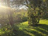 Parduodamas sklypas ant Nevėžio kranto (skardžio) - nuotraukos Nr. 35