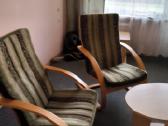 Dovanojama sofa lova,du foteliai ir staliukas - nuotraukos Nr. 6