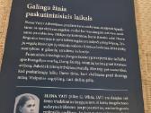 Trijų Angelų žinia - nuotraukos Nr. 6