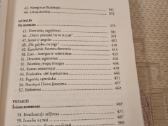 Pranašai ir karaliai - nuotraukos Nr. 5
