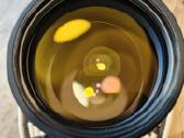 Sony 200-600 f5.6-6.3 G Oss - nuotraukos Nr. 6