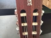 Gitara - nuotraukos Nr. 6