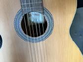 Gitara - nuotraukos Nr. 7