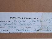 Vytautas Krasauskas "Saulės šviesa" 2008m. - nuotraukos Nr. 3
