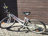 Bottari Mtb26'' - nuotraukos Nr. 2