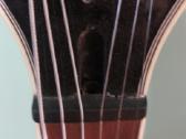 Harley benton Sc-custom line - nuotraukos Nr. 5
