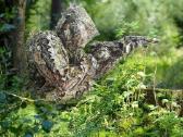3D Ghillie maskuojantis kostiumas (5 dalių) - nuotraukos Nr. 4