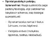 Statybinis projektavimas - nuotraukos Nr. 6