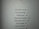 Radinių namelis - nuotraukos Nr. 7