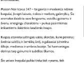 Maison Noir nišiniai kvepalai - nuotraukos Nr. 15