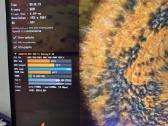 Tvarkinga Ryzen 9 5900xt dėžė - nuotraukos Nr. 33