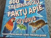 Knyga vaikams - nuotraukos Nr. 2