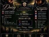 Rotveilerių šuniukai 2026 07 21 - nuotraukos Nr. 2