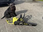 Ryobi Ocs1830 grandininis pjuklas, 18v - nuotraukos Nr. 5