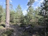 3t Exploro Primo 58cm - nuotraukos Nr. 11