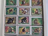 Suvenyriniai degtukai - nuotraukos Nr. 2