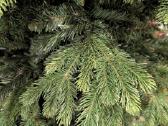 Dekoratyvinė najametinė eglutė 200-220cm - nuotraukos Nr. 6