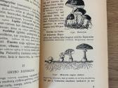Grybų pasaulis (tarpukario laikų knyga) - nuotraukos Nr. 2