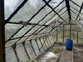 Nemokamai atiduodamas stiklinis šiltnamis - nuotraukos Nr. 7