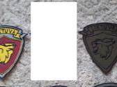 Gen. P. Plechaviciaus kadetų antsiuvai - nuotraukos Nr. 3