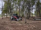 Apleistu sklypų tvarkimas,griovimo darbai - nuotraukos Nr. 2