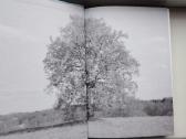 V. Vaitkevičius. Alkai. Baltų šventviečių studija - nuotraukos Nr. 2