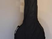 Gitara Ashton - nuotraukos Nr. 2