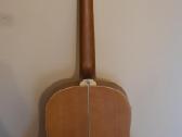 Gitara Ashton - nuotraukos Nr. 3