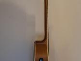 Gitara Ashton - nuotraukos Nr. 4