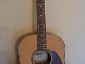 Gitara Ashton - nuotraukos Nr. 5