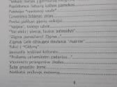Ateik bangosna užmaršties - nuotraukos Nr. 7